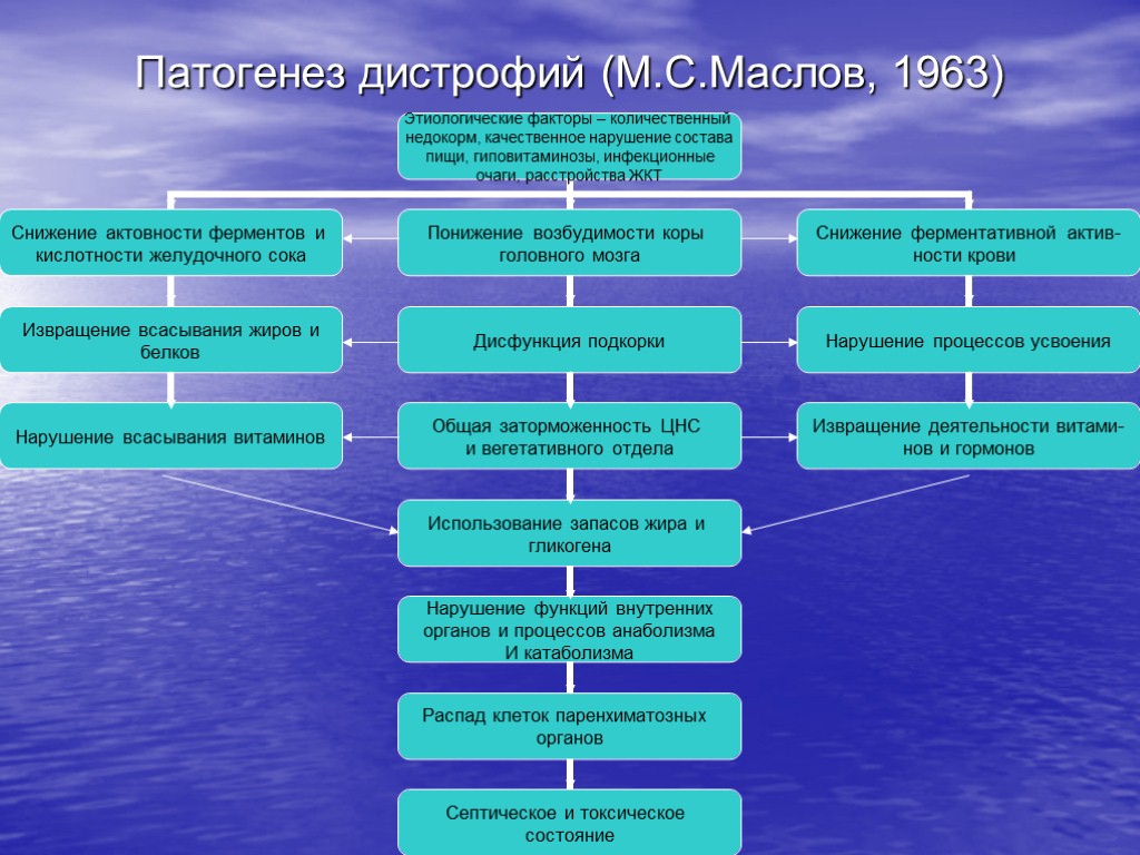 Патогенез дистрофий (М.С.Маслов, 1963)